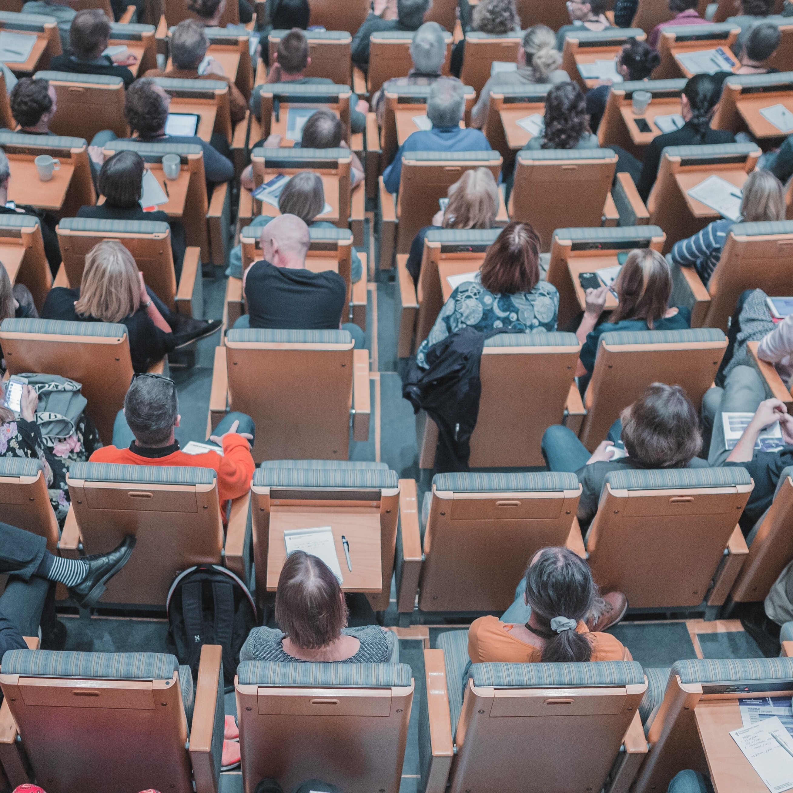 The SOAS liberation caucus is a student group advocating for the rights and interests of specific marginalised communities on campus, such as LGBTQ+ students or racial and ethnic minorities.